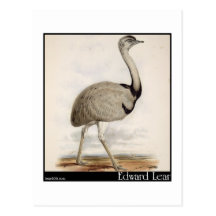 Edward Lear Emu Postkarte