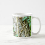 Efeu-kletternder Baum Kaffeetasse