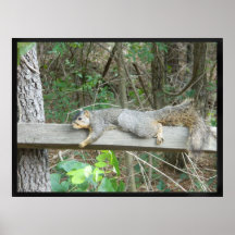 Eichhörnchen auf einem Druck des hölzernen Strahls Plakatdruck