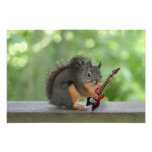Eichhörnchen, das E-Gitarre spielt Fotografien