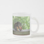 Eichhörnchen, das E-Gitarre spielt Kaffeehaferl