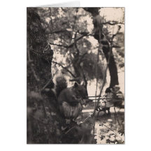 Eichhörnchen Karten