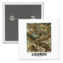 Eidechsen (Ernst Haeckel Artforms der Natur) Buttons