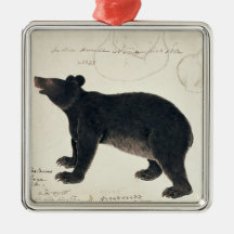 Ein asiatischer schwarzer Bär, "Ursus Tibetanus " Ornamente