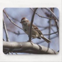 Ein Baum-Spatz Mauspad