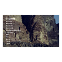 Ein einsames Kamel, Wadi-Rum-Wüste, Jordanien-Wüst Visitenkarten