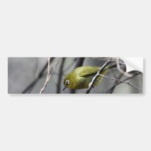 Ein kleiner Vogel geflüstert in meinem Ohr Auto Sticker