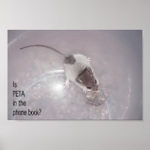 Ein letzter Anruf Plakat