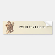Ein Paar verdeckte Schleiereulen auf einer Niederl Auto Sticker
