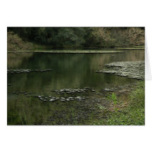Ein Ruhe-Teich-Anlass-Grüße Grußkarten