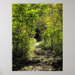Ein Weg im Holz-photographischen Druck Plakatdruck