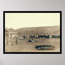 Einbrennendes Vieh Sd 1891 Plakate