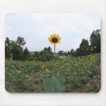 eine hohe Sonnenblume Mauspad