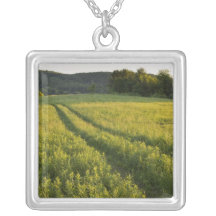 Eine Landstraße in Sabins Weide in Montpelier, Amulett