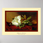 Eine Magnolie auf rotem Velvet~ Martin Johnson Hea Poster