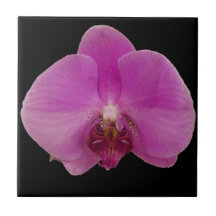 Eine reizende empfindliche violette Blume Keramikfliese