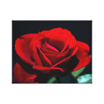 Eine romantische Rote Rose Galerie Gefaltete Leinwand