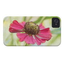 Eine Singlerote Helenium-Blüte Case-Mate iPhone 4 Hüllen