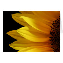 Einfach Sonnenblume-Karte