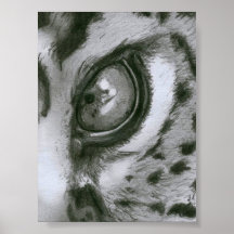 Einfarbiges Leopard-Auge Poster
