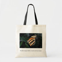 Eingebrannter orange Schmetterling, Zentrale und S Leinentaschen