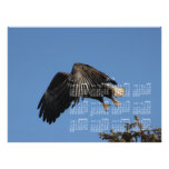 Eingehüllt durch Flügel; Kalender 2013 Photodruck