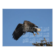 Eingehüllt durch Flügel; Kalender 2013 Photodruck