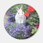 Eingemachtes Kaninchen Kühlschrankmagnete