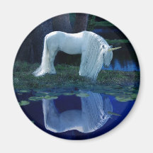 Einhorn-Reflexion Magnete