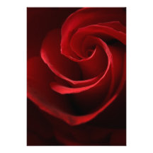 EINLADUNGEN    Rote Rose