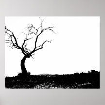 Einziger Baum Posterdrucke