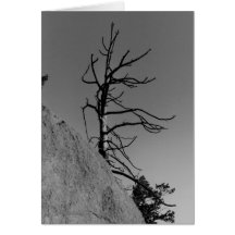 Einziger Himmel-Baum, Grußkarte durch MA… - Besond