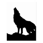 Einziger Wolf stehend auf einem Hügel Postkarte