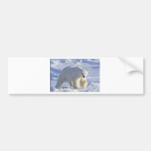 EISBÄR 1 AUTOSTICKER