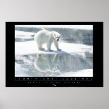Eisbär-Plakat