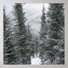 Eisige Wanderung Poster
