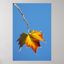 Eisiges Blatt Plakate