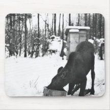 Elch-Kalb verpflanzt, um Ebenen zu verkupfern Mousepads