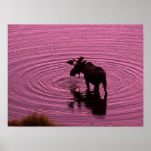 Elch-Silhouette Plakat