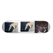 Elche funnn personalisiertes skateboarddeck