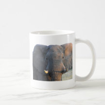 Elefant Teetassen