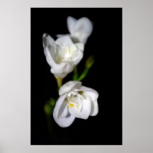 Elegant Plakatdrucke