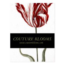 Elegante Couture-Geschäfts-Öffnungs-Mitteilungs-Ka Postkarten