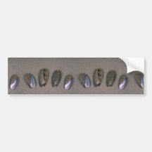 Elegante olivgrüne (Oliva elegans) Muschel Auto Sticker