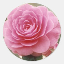 ELEGANTE ROSA ROSE STICKER