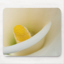 Elegante weiße Callalilie Mauspad