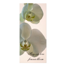 Elegantes Orchideen-Hochzeits-Programm Werbekarten