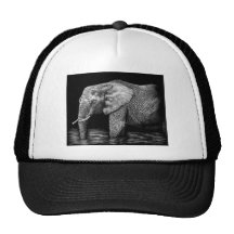Elephant.png Baseballkappen