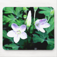 Empfindliche Schönheiten Mousepad