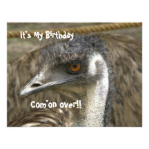 Emu-Geburtstags-Party Einladungskarten